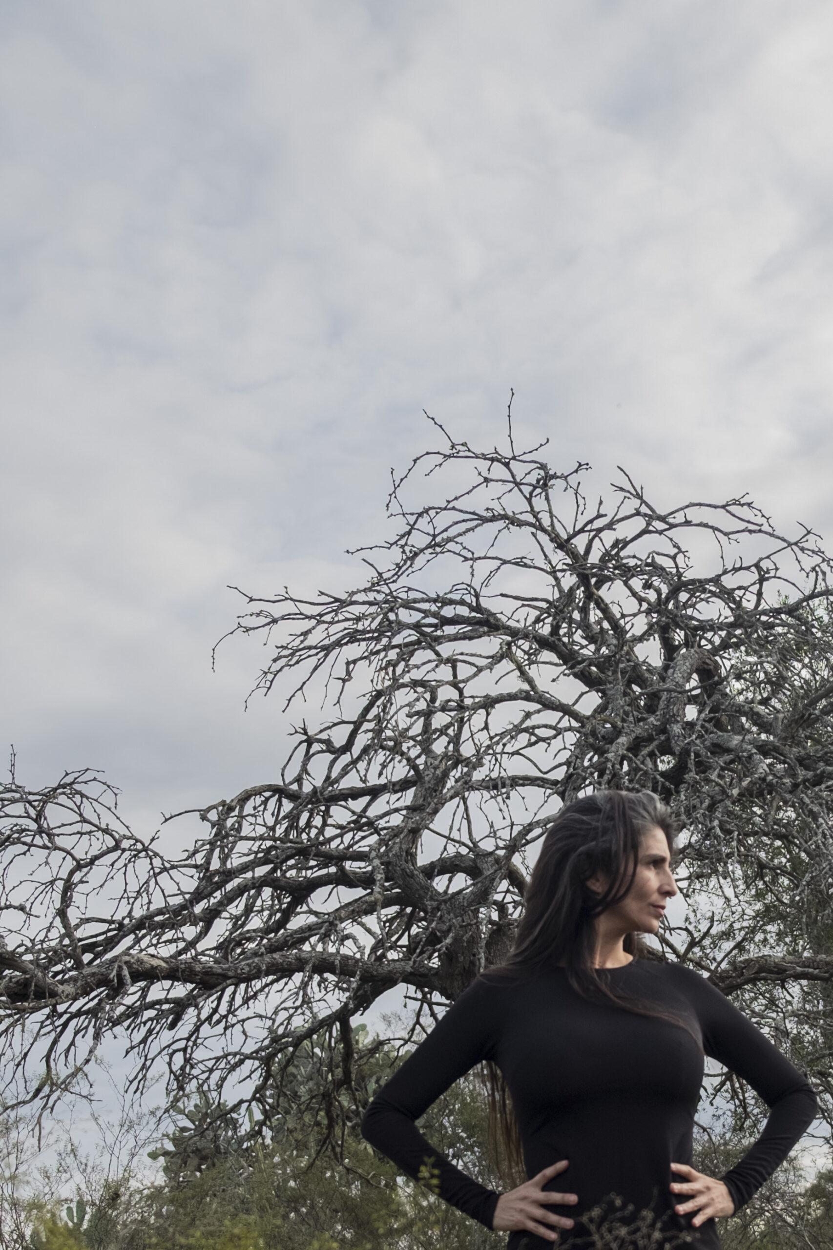 arbol ph Madretierra Evans Kurchan
